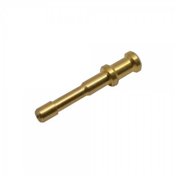 SKF Verschlussstift 450-204-002