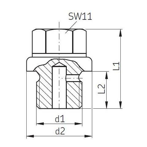 SKF Entlüftungsschraube